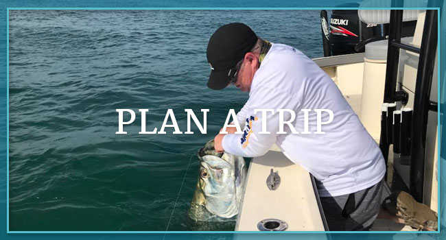 Florida Keys Tarpon Wrangler Trip Planner