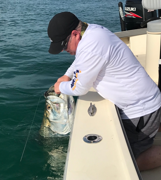 Tarpon Tale in the Florida Keys